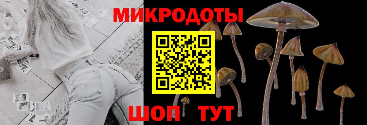 Галлюциногенные грибы Psilocybine cubensis  купить наркотики цена  Псилоцибиновые грибы MAGIC MUSHROOMS  Урюпинск  Вход с VPN 