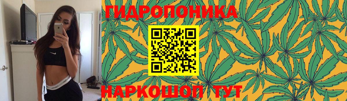 Урюпинск  Каннабис OG Kush  Вход с VPN  Марихуана AK-47  Канабис сатива 